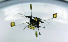 Robobee: The Bee Robot That Flies and Swims