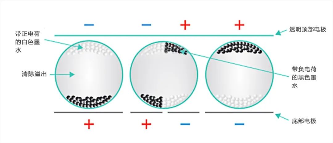 Understanding High-Tech Displays: E-Paper and Glasses-Free 3D Technology