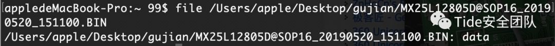 Basics of Firmware Extraction in IoT Physical Security