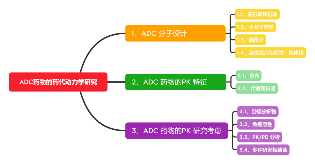 Key Points and Challenges in PK/PD Studies of ADC Drugs