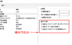 VMware Virtualization Setup Guide