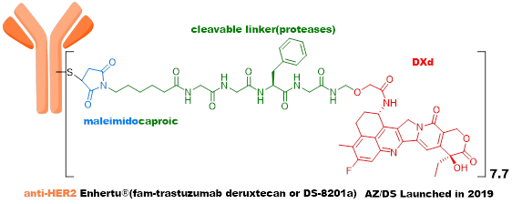 Technical Insights into 15 ADC Drugs and Future Innovations