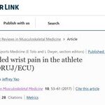 Common Factors for Ulnar-Sided Wrist Pain in Athletes