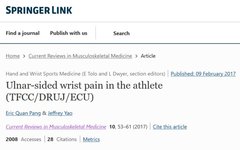 Common Factors for Ulnar-Sided Wrist Pain in Athletes