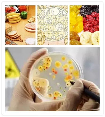 GB 4789.1-2016 Food Safety National Standard Microbiological Examination