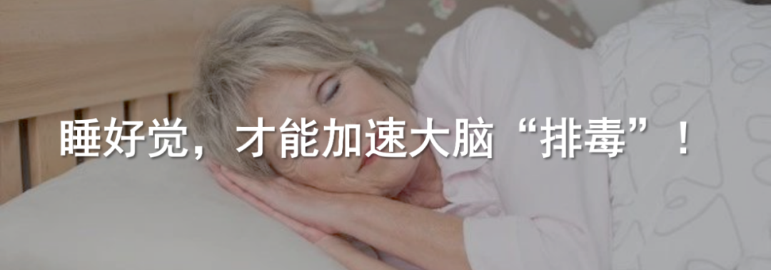 Challenging Traditional Views: Tsinghua Team Redefines Auditory Pathways