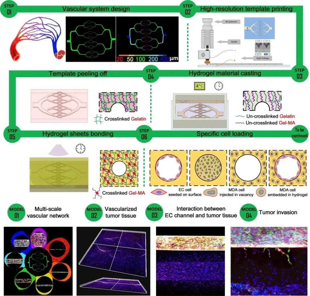 Bioprinting of Vascularized Tissues: A Comprehensive Review