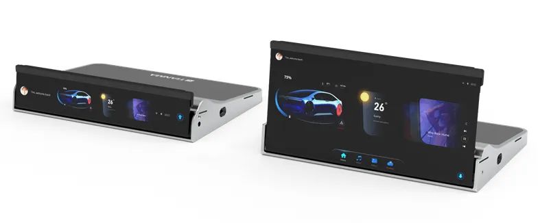 Overview of Non-Mainstream Display Technologies