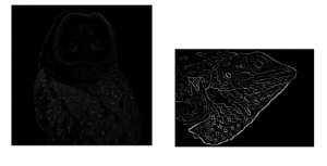 Comprehensive Guide to Edge Detection Algorithms