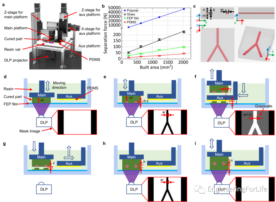 Applications of Projection Photopolymerization in 3D Bioprinting: Microneedles, Microspheres, and Microfluidic Chips