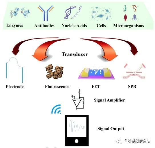 Artificial Intelligence Biosensors: Challenges and Prospects