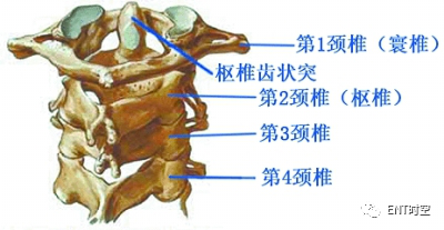 Diagnosis and Treatment of Adenoid Hypertrophy and Complications