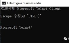 Using Telnet for HTTP Interaction