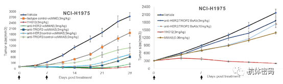 The Next Step for Bispecific Antibodies: Bispecific ADC?