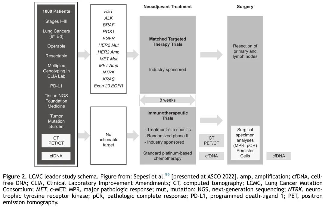 JTO Authority Review: Efficacy and Safety of Neoadjuvant Targeted Therapy for Resectable NSCLC