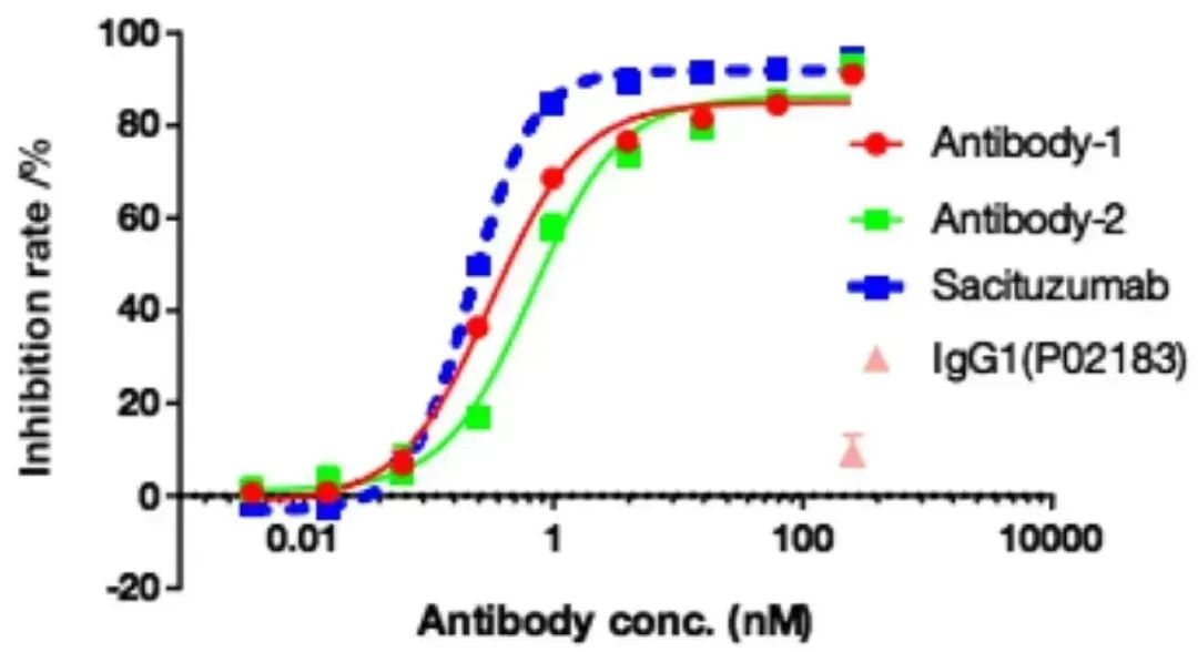 Innovative Delivery: Comprehensive Analysis of 'Magic Bullet' ADC Drug Screening