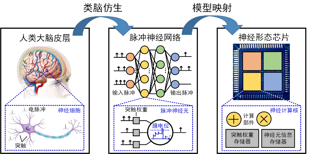 Intelligent Major | On-Chip Deep Learning Brain-Like Visual Processing Chip