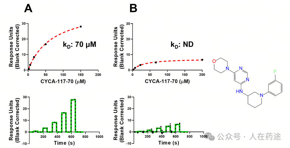 The Future of PROTACs and Molecular Glue: E3 Ligand Development Overview