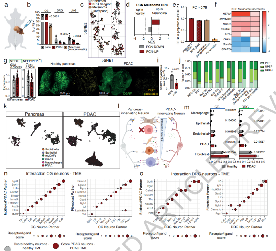 Research Perspective: Single Neuron - Single Cell Resolution Trace-n-seq