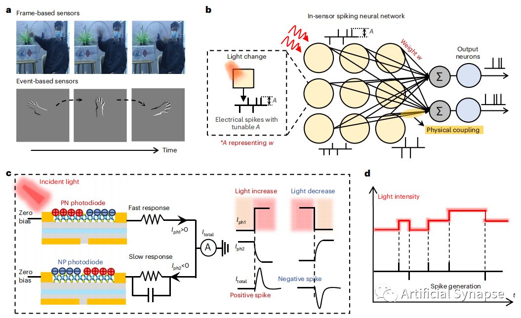 Neuromorphic Event-Driven Vision Sensors for Motion Recognition