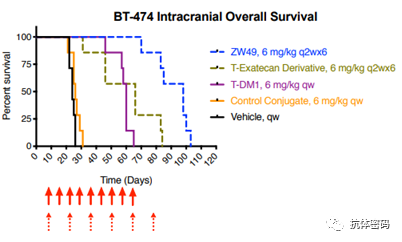 The Next Step for Bispecific Antibodies: Bispecific ADC?