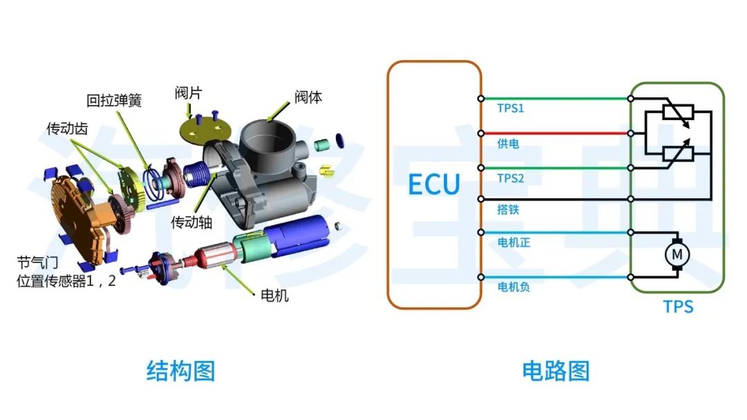 Common Sensor Waveform Analysis: Everything You Need in One Article!