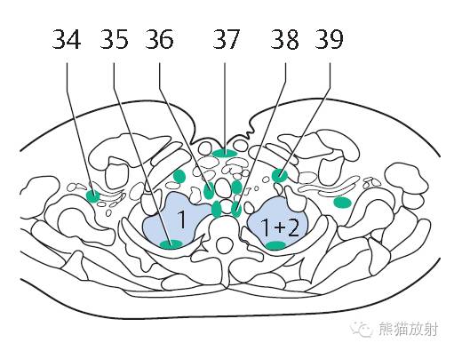 Chest Anatomy | Chest CT Cross-Sectional Anatomy