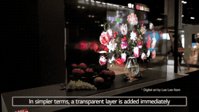 Understanding OLED Transparent Display Technology