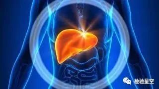 Clinical Applications of Liver Function Tests