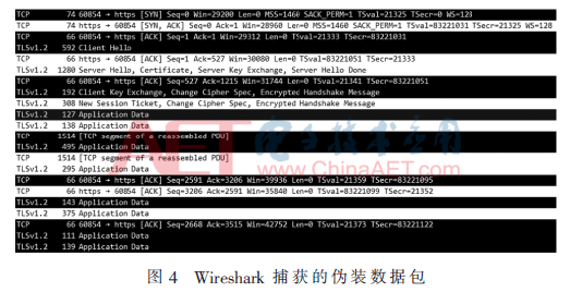 Covert Penetration Testing Methods Based on Raspberry Pi