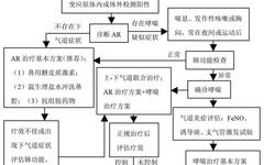 Expert Consensus on Diagnosis and Management of Chronic Inflammatory Diseases of Upper and Lower Airways (Part 1)
