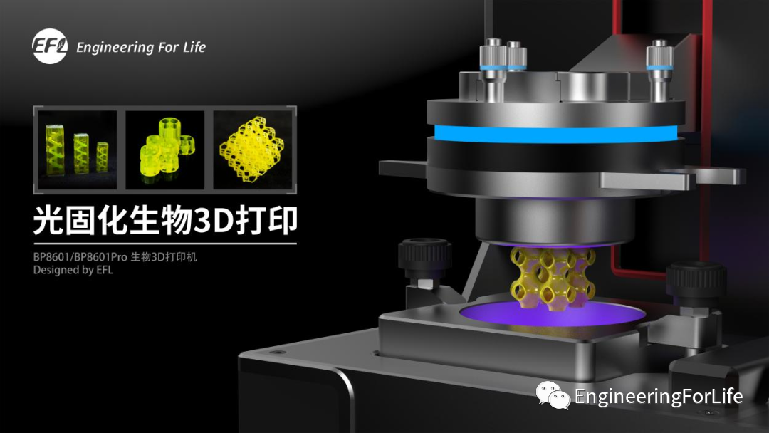 Applications of Projection Photopolymerization in 3D Bioprinting: Microneedles, Microspheres, and Microfluidic Chips