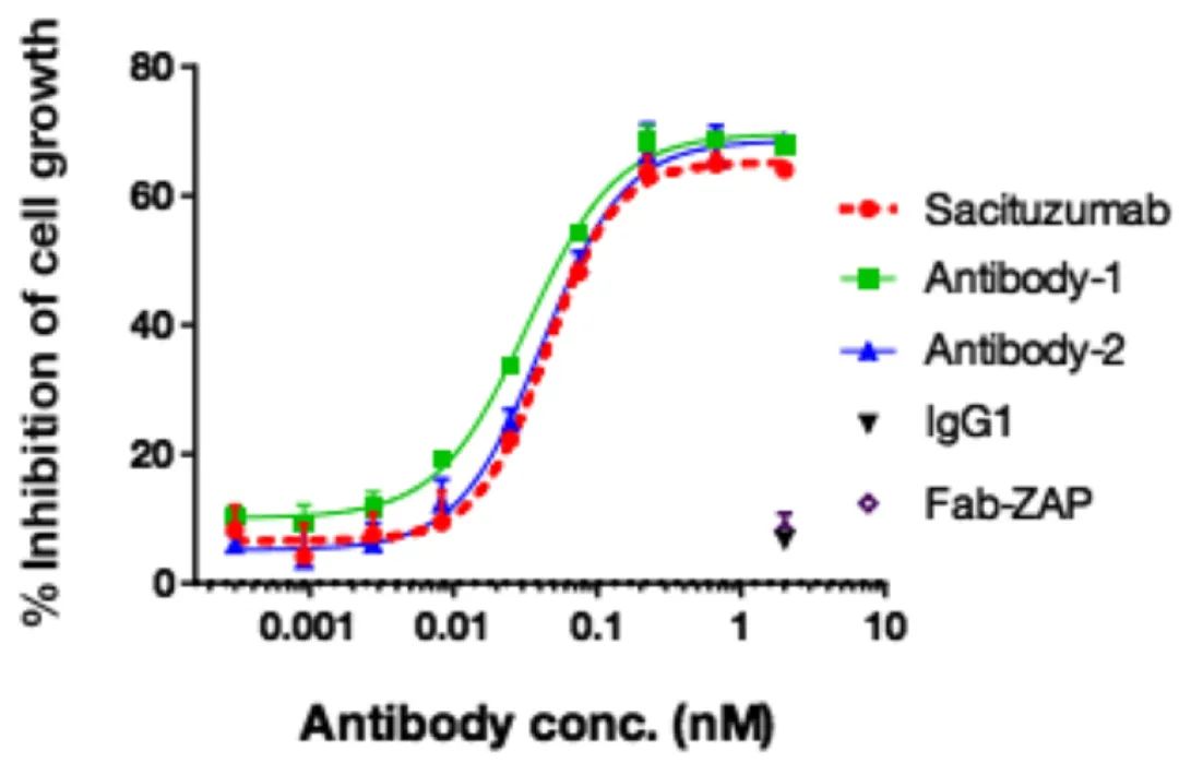Innovative Delivery: Comprehensive Analysis of 'Magic Bullet' ADC Drug Screening