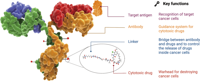 Clinical Results of Targeting Prostate Cancer with ADCs