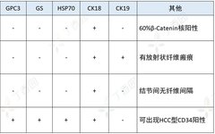 Summary of Immunohistochemical Markers for Liver Cancer