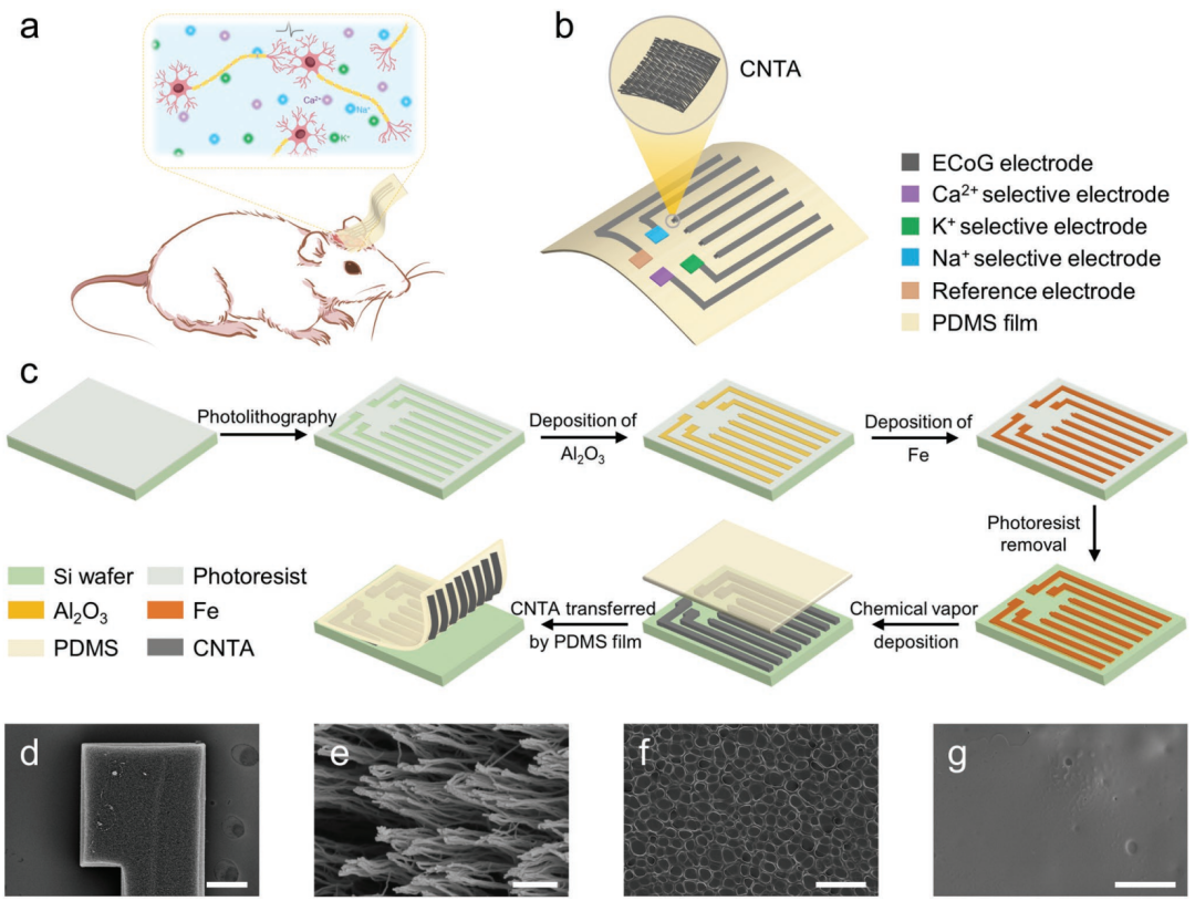 An Efficient Sensor for Real-Time Recording of Cortical Activity