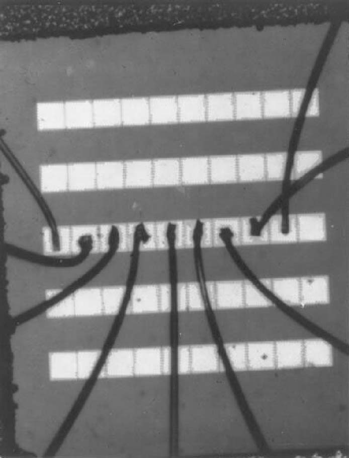 CCD Image Sensor: Revolutionizing Imaging Technology
