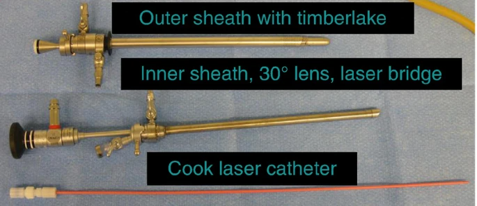 HoLEP Procedure Steps and Techniques