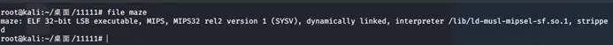 A Reverse Engineering Analysis of a MIPS Challenge