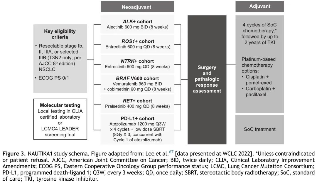 JTO Authority Review: Efficacy and Safety of Neoadjuvant Targeted Therapy for Resectable NSCLC