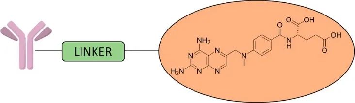 Exploring the Stories Behind ADC Payloads: Traditional Chemotherapeutics