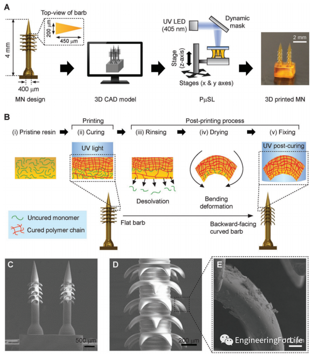 Applications of Projection Photopolymerization in 3D Bioprinting: Microneedles, Microspheres, and Microfluidic Chips