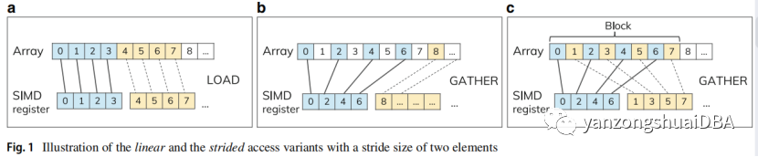 Partition-Based SIMD Processing in Columnar Database Systems
