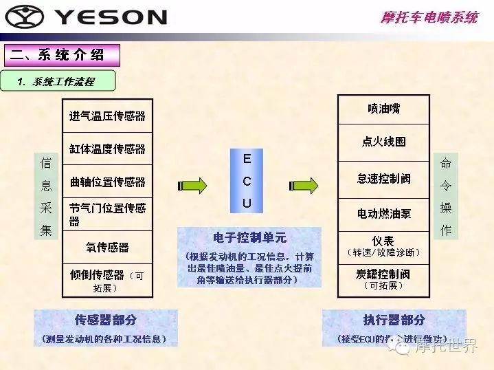 How Many Brands of Fuel Injection System ECU Are There?
