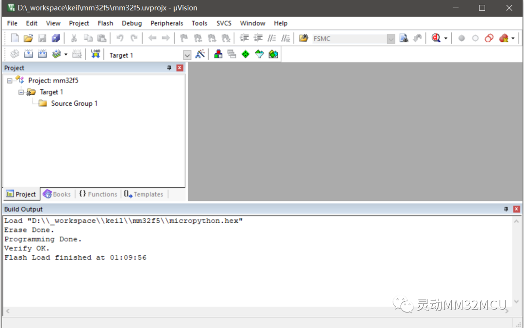 Download Executable Files to MM32F5 Microcontroller