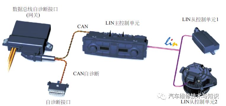 Types of Automotive Buses, Fault Characteristics & Case Analysis