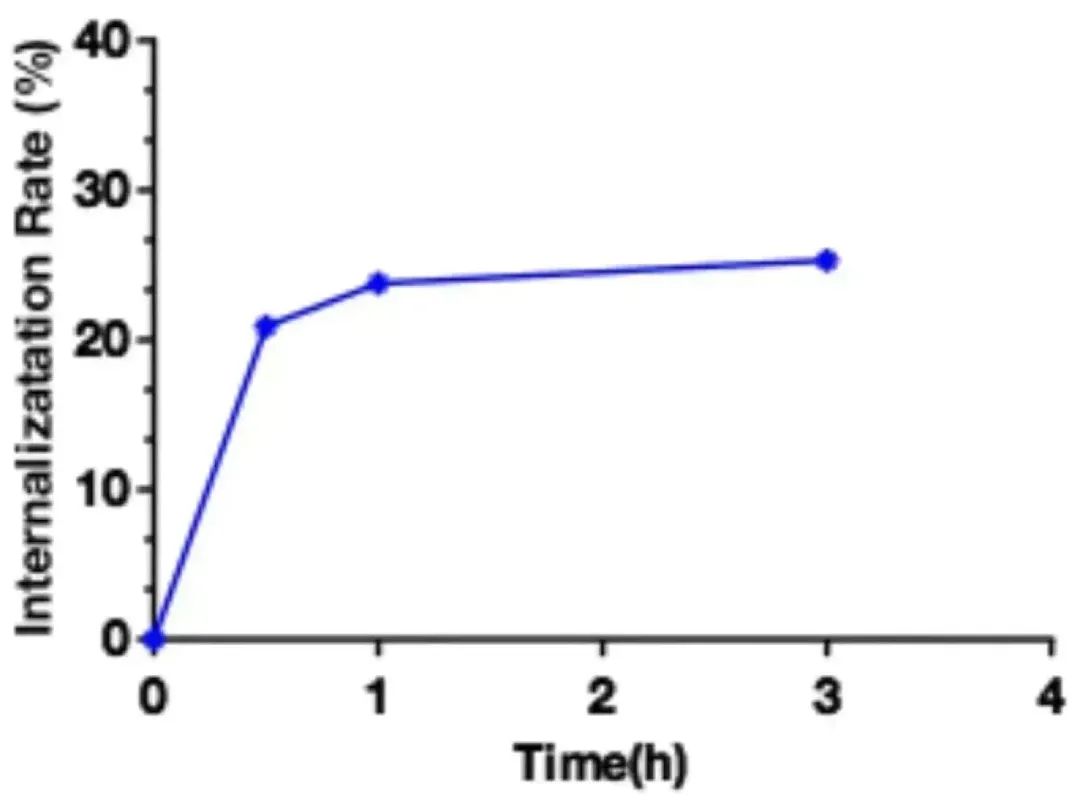 Innovative Delivery: Comprehensive Analysis of 'Magic Bullet' ADC Drug Screening