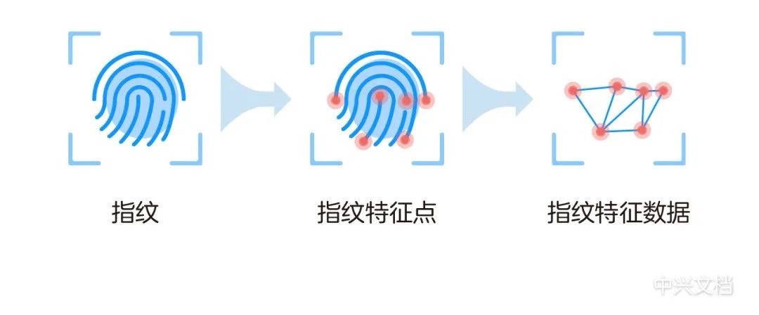 Understanding Mobile Fingerprint Recognition Technology