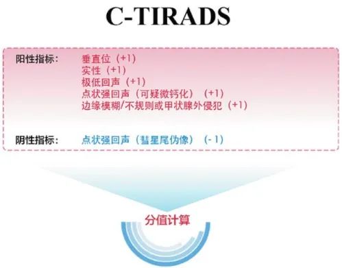 Which Thyroid Nodules Require Surgical Removal? Exploring C-TIRADS Classification