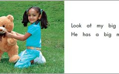 English Picture Book Stories | My Big Bear